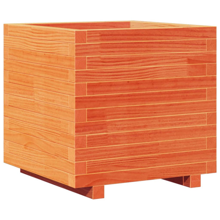 Odlingslåda Vaxbrun 50X50X49,5 Cm Massiv Furu