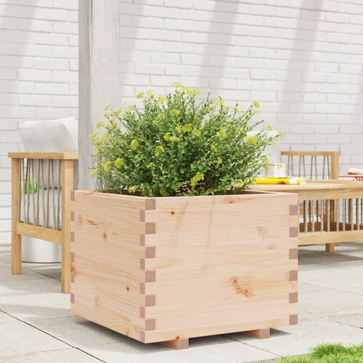 Odlingslåda 60X60X49,5 Cm Massivt Furuträ