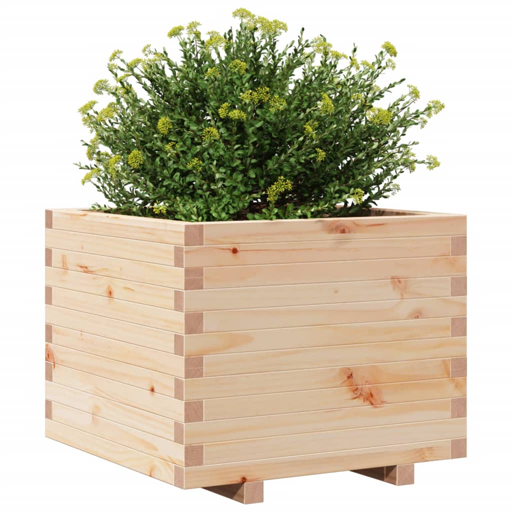 Odlingslåda 60X60X49,5 Cm Massivt Furuträ