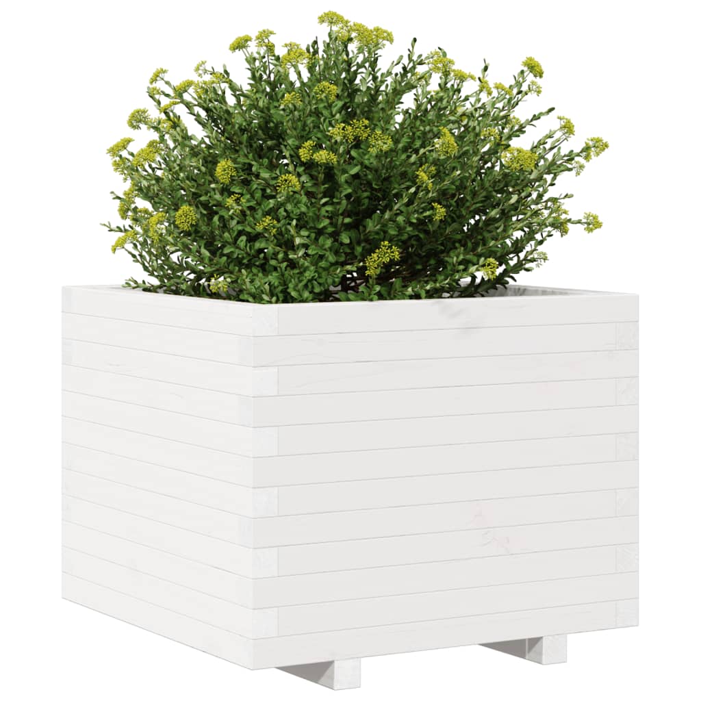 Odlingslåda Vit 60X60X49,5 Cm Massiv Furu