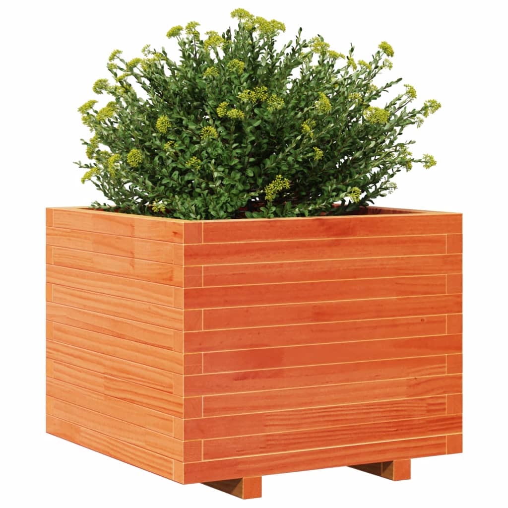 Odlingslåda Vaxbrun 60X60X49,5 Cm Massiv Furu
