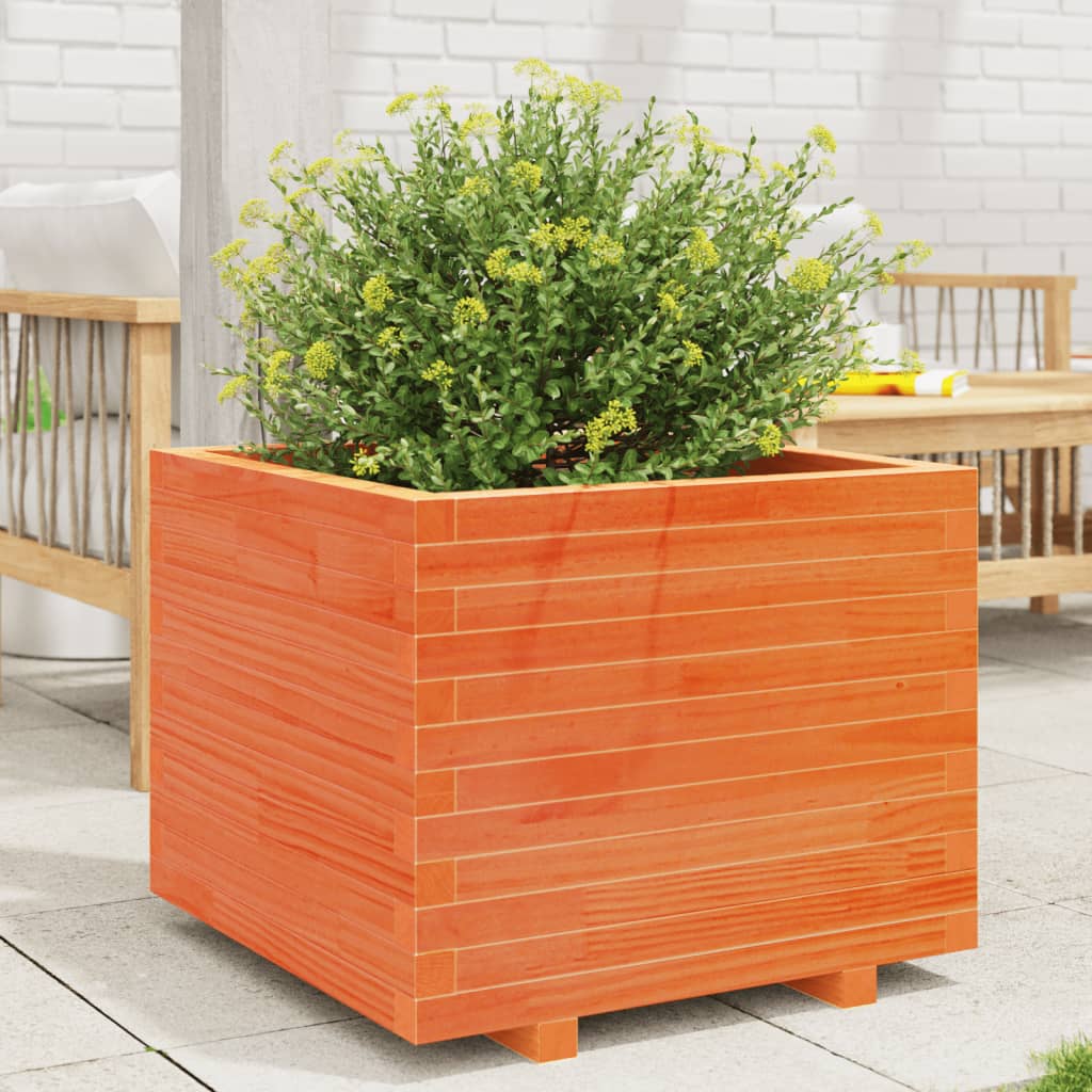 Odlingslåda Vaxbrun 60X60X49,5 Cm Massiv Furu