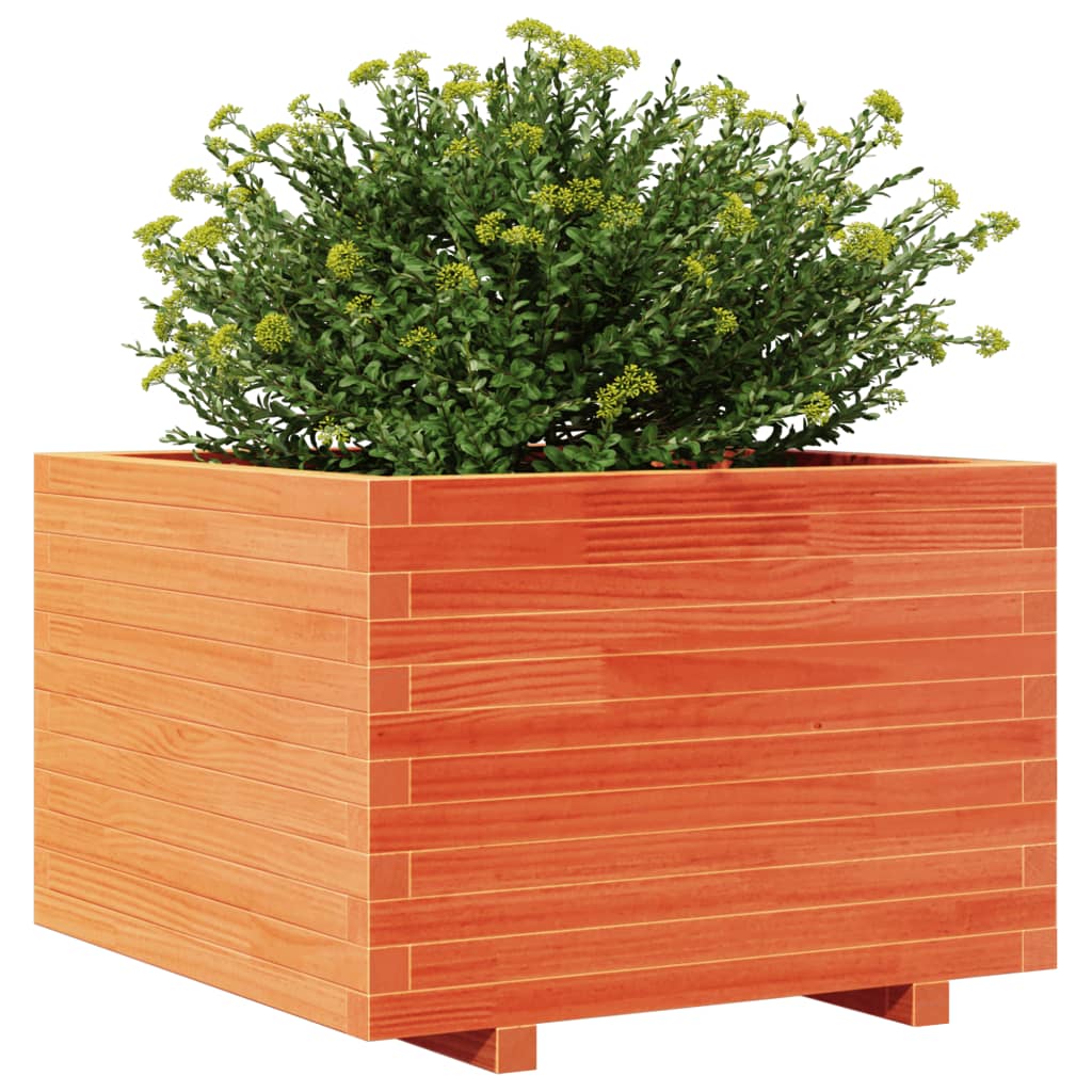 Odlingslåda Vaxbrun 70X70X49,5 Cm Massiv Furu