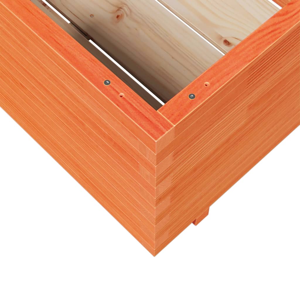 Odlingslåda Vaxbrun 70X70X49,5 Cm Massiv Furu