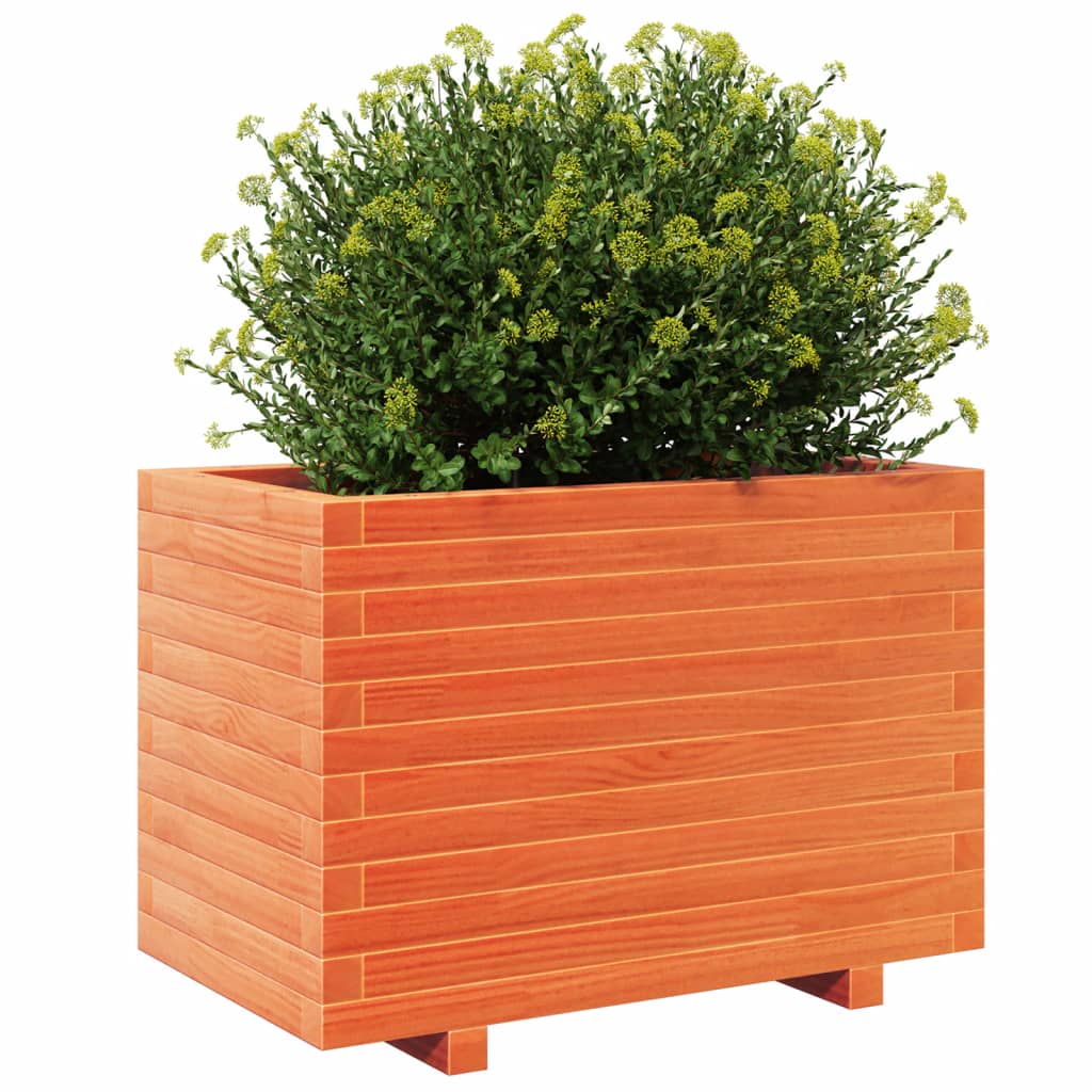 Odlingslåda Vaxbrun 70X40X49,5 Cm Massiv Furu