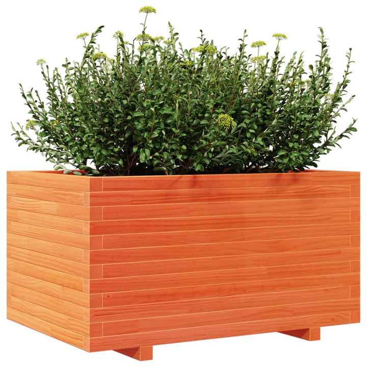 Odlingslåda Vaxbrun 90X60X49,5 Cm Massiv Furu