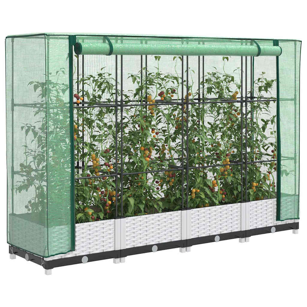 Odlingslåda Med Växthusöverdrag Rottinglook