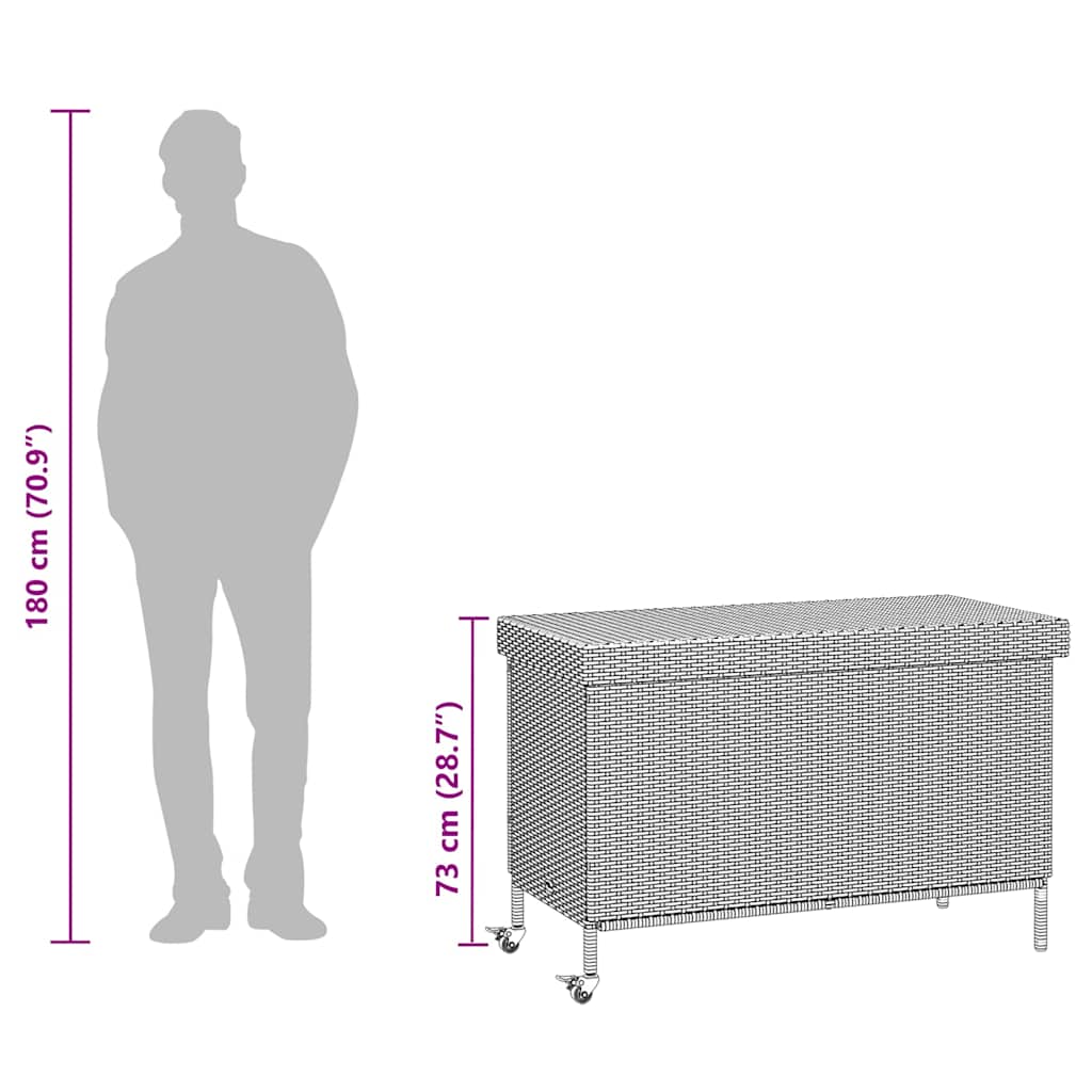 Dynbox På Hjul Konstrottning