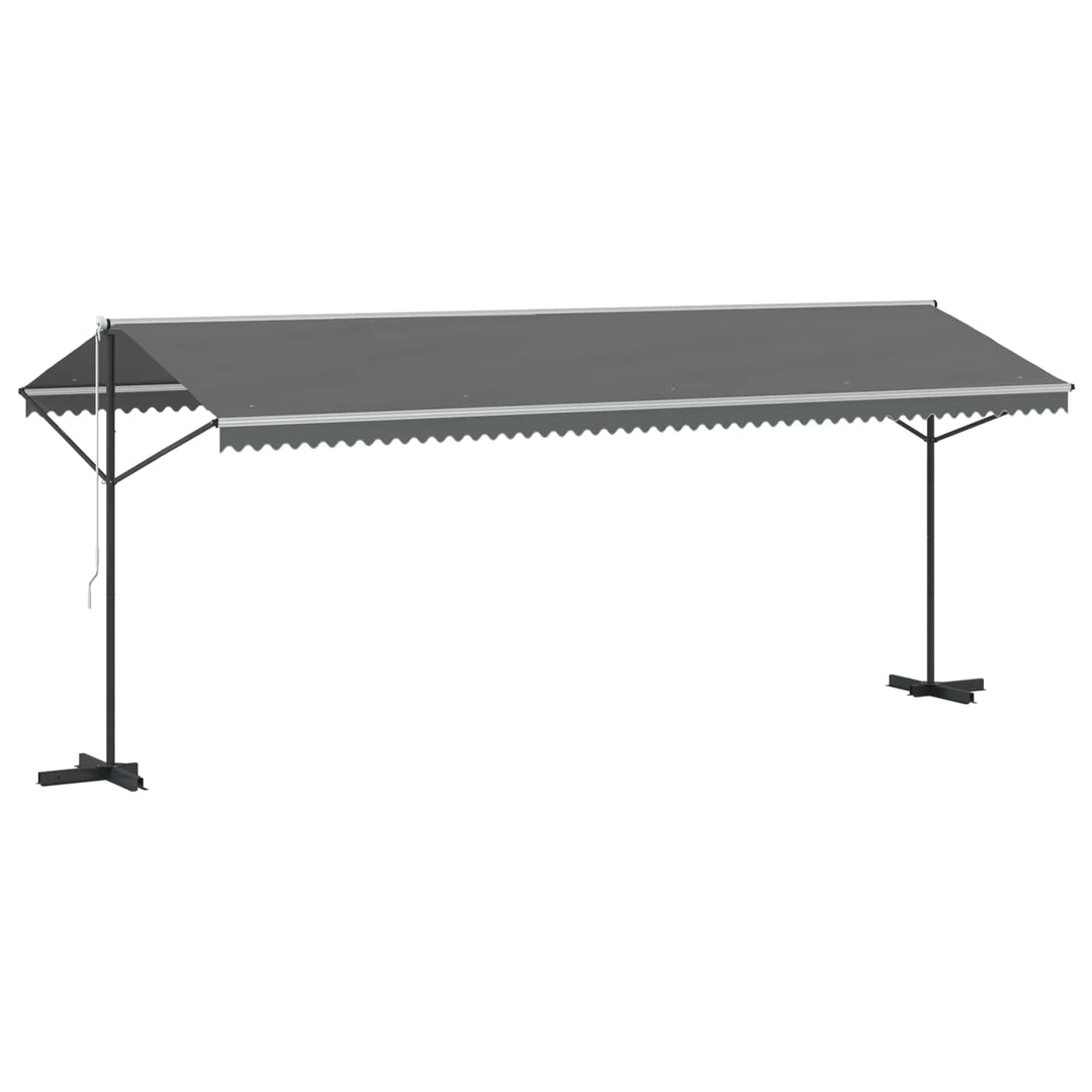Fristående Markis 6 X 3 M Polyester Grå