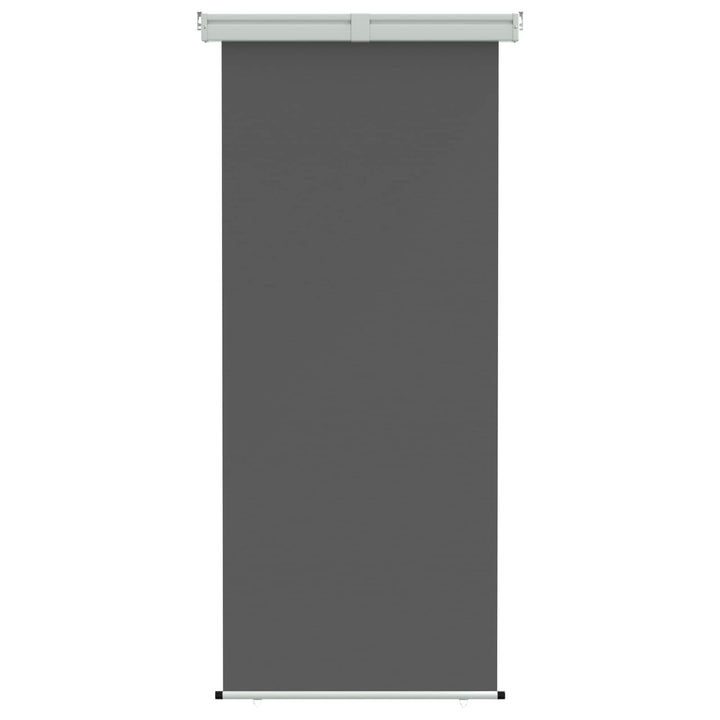 Balkongsidomarkis 100 X 250 Cm 100% Polyester, Järn, Stål