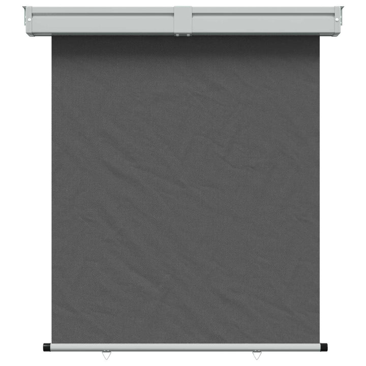 Balkongsidomarkis 160 X 250 Cm 100% Polyester, Järn, Stål